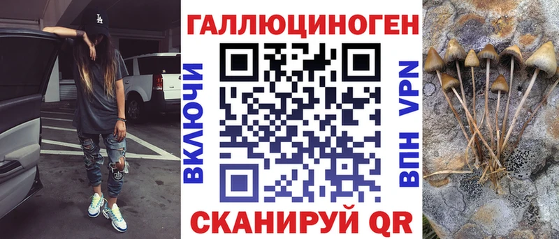 Галлюциногенные грибы Psilocybine cubensis  Боготол 